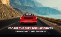 Escape the City: Top UAE Drives from Coastlines to Peaks