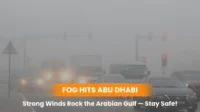 Fog Hits Abu Dhabi & Strong Winds Rock the Arabian Gulf — Stay Safe!