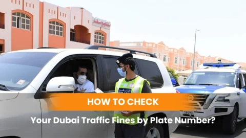 How to Check Your Dubai Traffic Fines by Plate Number
