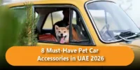 8 Must-Have Pet Car Accessories in UAE 2026