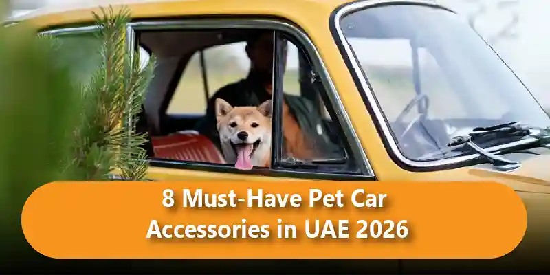 8 Must-Have Pet Car Accessories in UAE 2026