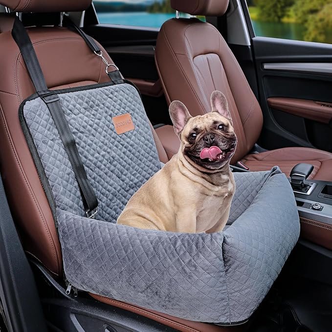 Best Travel Seat for Medium Pets