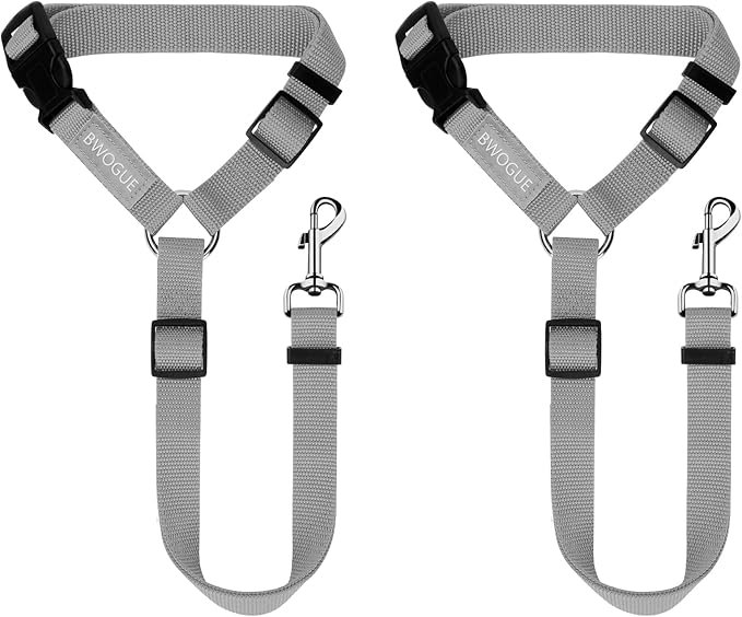 Best Budget-Friendly Pet Seat Belt