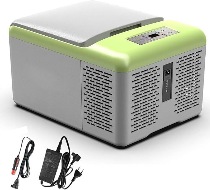 Electric Car Refrigerator